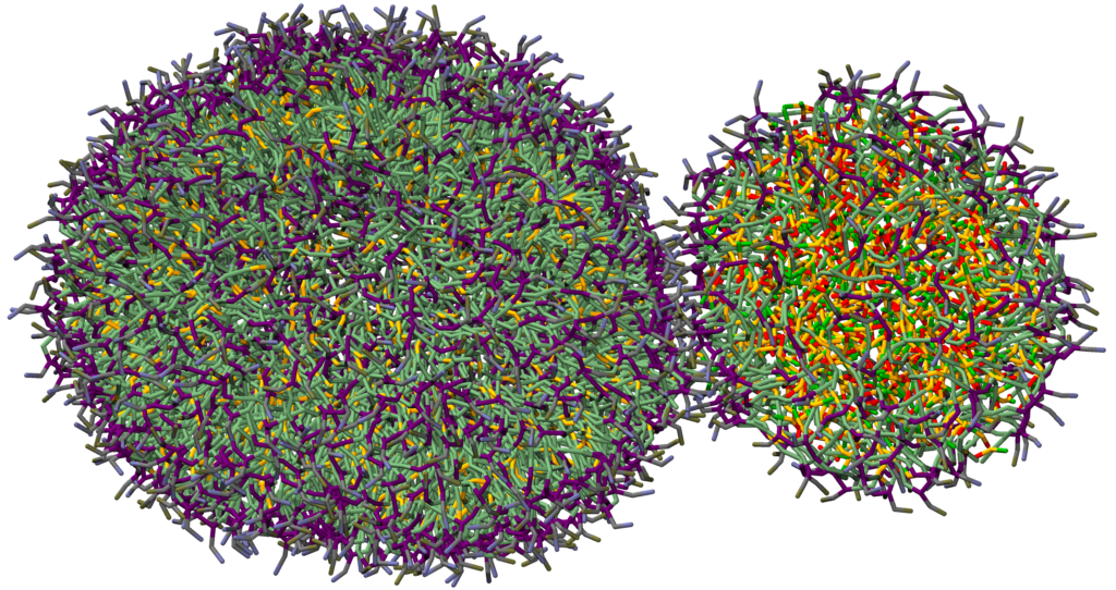 Vesicles